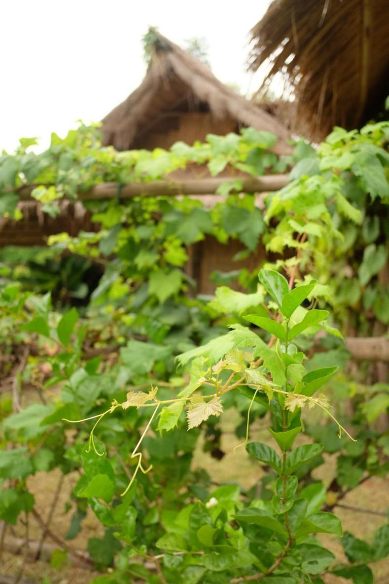 Royal Mountain Hut Hotel Ratchaburi Phòng bức ảnh